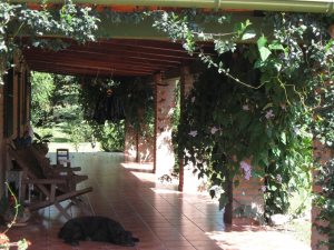 Terrasse vom Ferienhaus