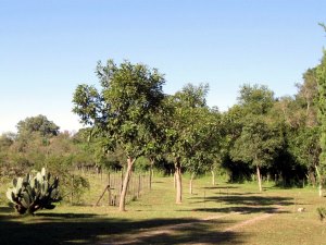 Grundst�ck der Pferderanch