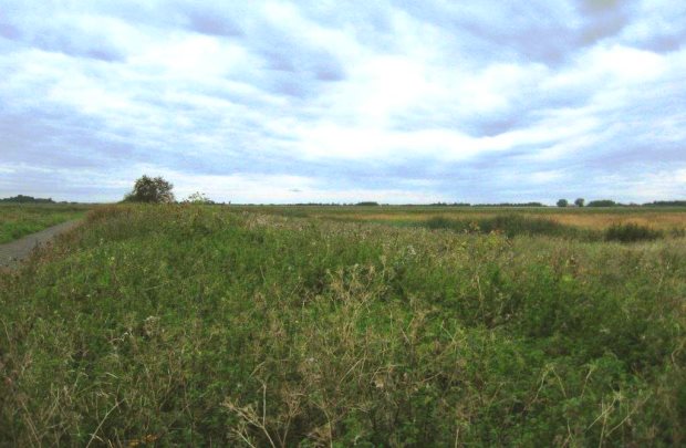 Sventoji Baugrundstcke nah der Ostsee von Litauen