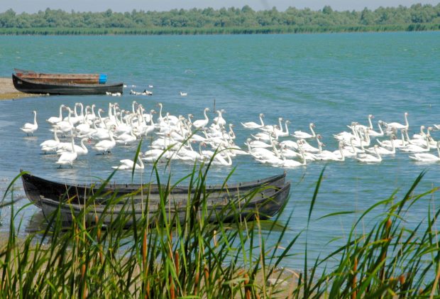 Baugrundstück im Donaudelta von Rumänien Baugrundstück im Donaudelta von Rumänien