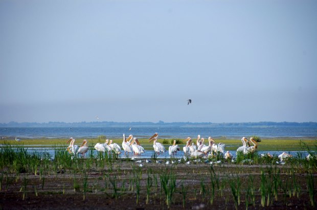 Baugrundstck im Donaudelta Tulcea von Rumnien