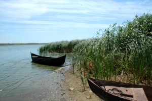 Donaudelta Murighiol Donaudelta Murighiol
