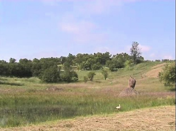 Baugrundstck bei Orsova Rumnien