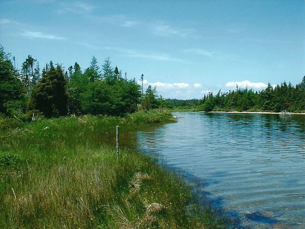 Baugrundst�ck in Kanada am Atlantik kaufen