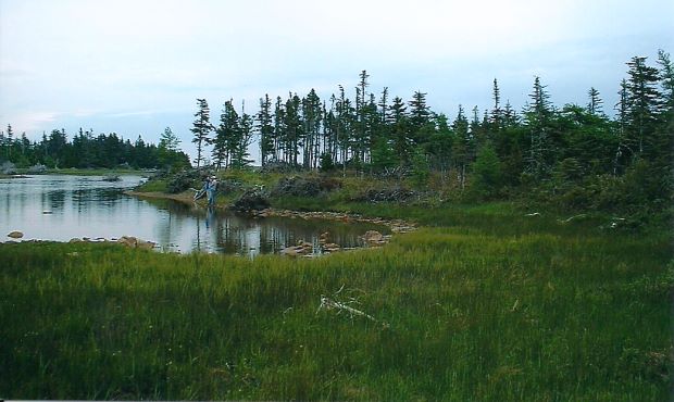 Baugrundst�ck auf Cape Breton Island