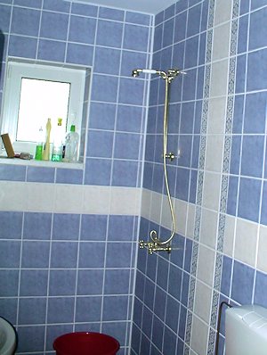 Duschbad im Wohnhaus