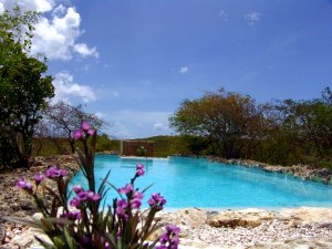 Pool vom Einfamilienhaus