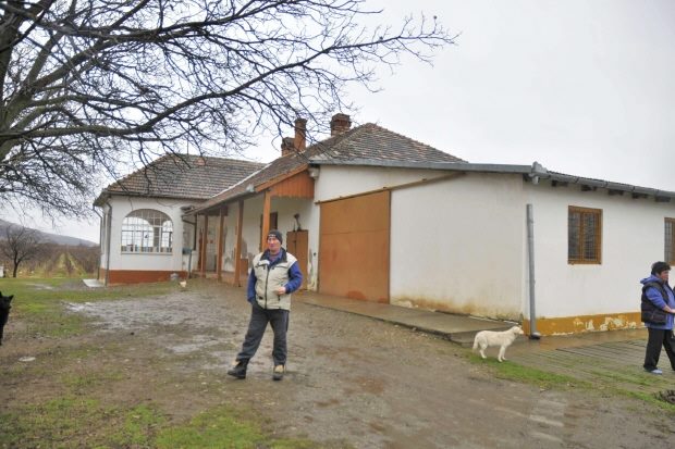 Weingut bei Arad Rumnien