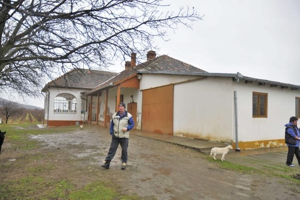 Weingut bei Arad Rumnien