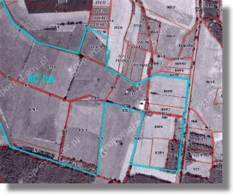 Grundstcke bei Nowy Tomysl Polen