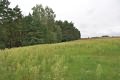 Baugrundstck bei Wagrowiec Gropolen