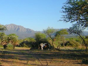 Estancia Pferderanch in Argentinien Cordoba