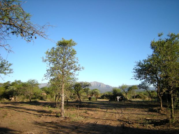 Estancia im Punillatal von Cordoba Argentinien
