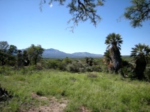 Farm Farmland Cordoba Argentinien