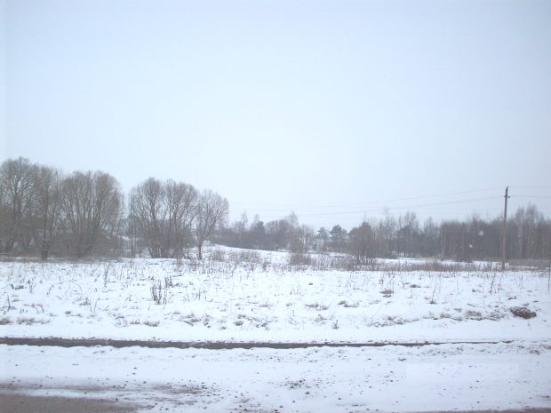 Baugrundstck in Elektrenai