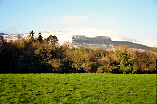 Grundstck Landschaft vom Ferienhaus