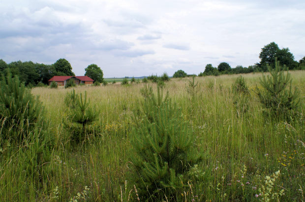 Ferienhaus zum Ausbau bei Kroczyce Polen zum Kaufen