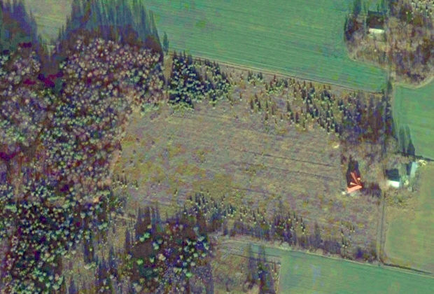 Grundstck vom Landhaus in Polen