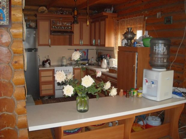 Einbaukche vom Ferienhaus