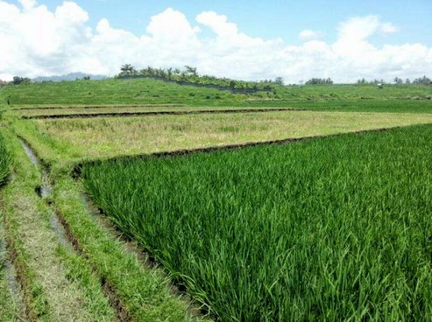 Jehembang Baugrundst�cke Insel Bali