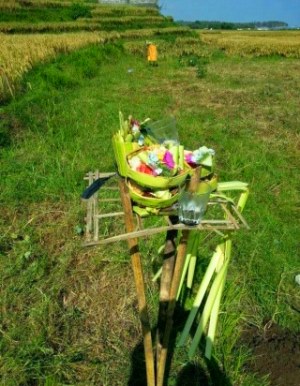 Baugrundst�ck nah dem Meer auf Bali