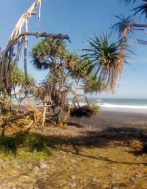 100 m bis zum Meer und Strand von den Baugrundst�cken