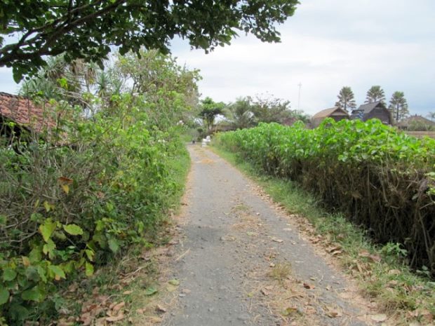 Weg zu den Baugrundst�cken