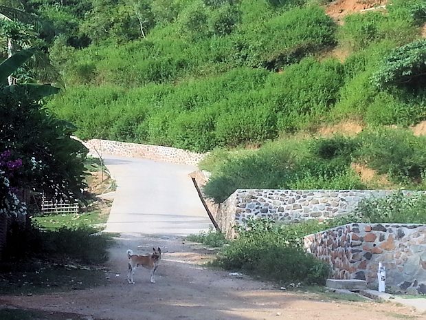 befestigte Stra�e zum Baugrundst�ck auf Lombok