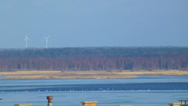 Ausblick vom Apartment