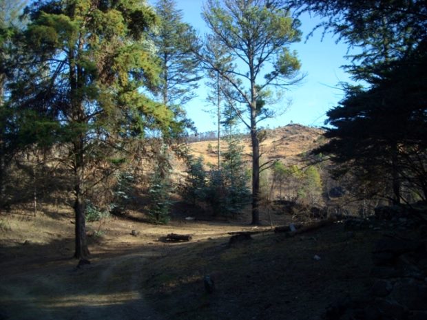 Villa Yacanto Grundst�ck in Cordoba Argentinien