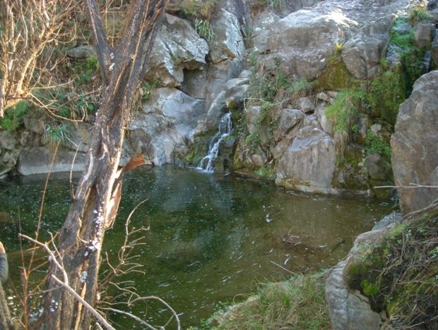 Naturbach auf dem Grundst�ck