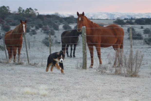 argentinische Pferderanch zum Kaufen