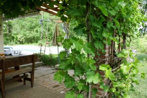 Terrasse vom Einfamilienhaus
