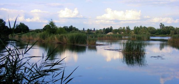 Seegrundstck in Lugoj Timis Rumnien zum Kaufen