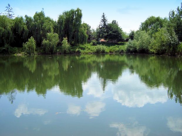 Seelandschaft in Rumnien zum Kaufen