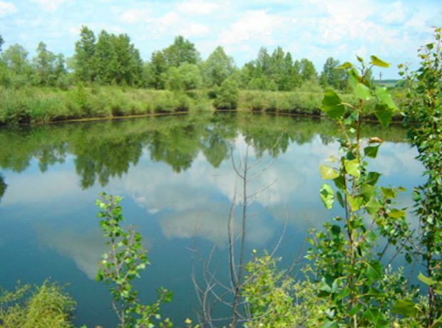 See der Seelandschaft