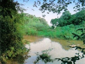 Rio Paraguay direkt am Grundstck