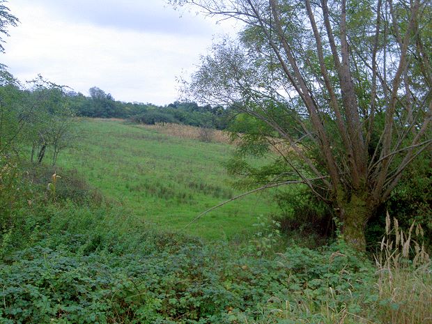 Baugrundstck Bauland bei Gavojdia Banat Rumnien