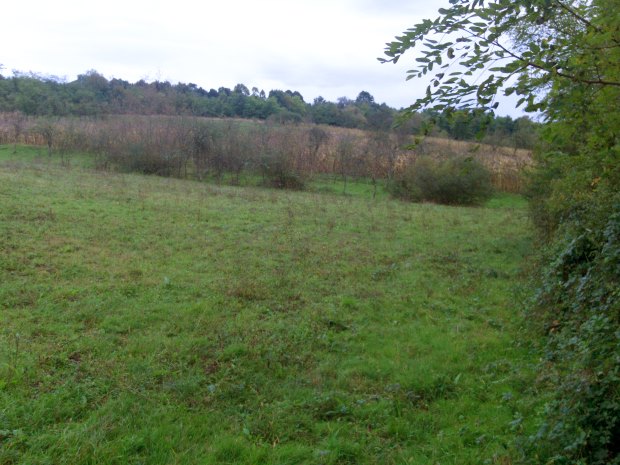 Baugrundstck bei Bocsa Rumnien