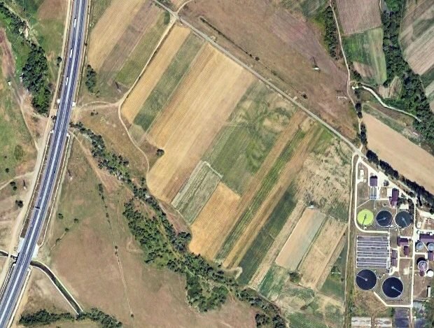 Acker in Schellenberg sdlich von Sibiu zum Kaufen