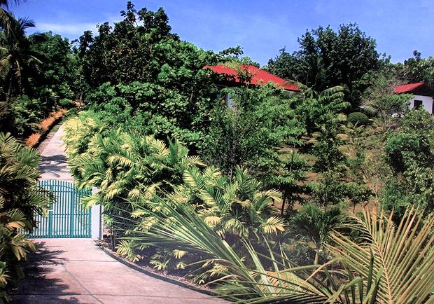 Blick zu der H�usern