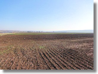 Ackerland Pachtland Farmland Agrarland Walachei Rumnien