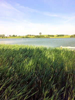 Uferfront vom Grundstck