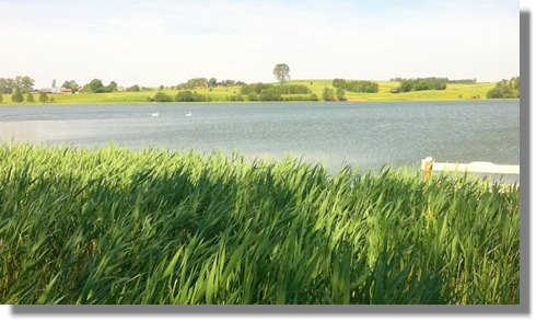 Grundstcke am Blanki bei Lidzbark Warminski Masuren Polen