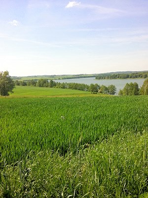 Grundstck am Blanki See