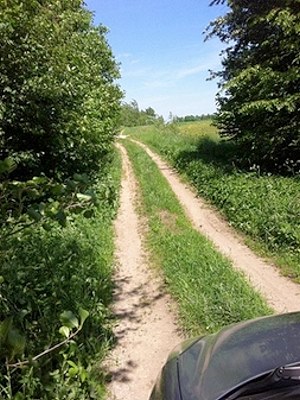 Weg zum Grundstck