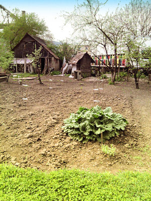 Garten vom Haus in Schburg Rumnien