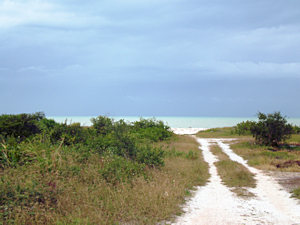 Weg zum gro�en Bad des Ferienhauses