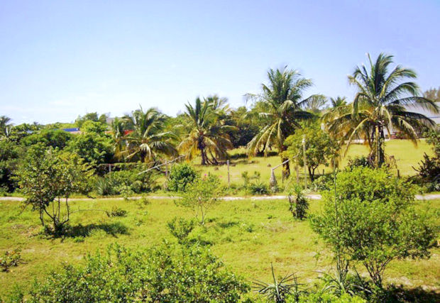 Grundst�ck vom Ferienhaus