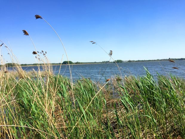 Baugrundstck am See im Powiat Nowotomyskie Polen
